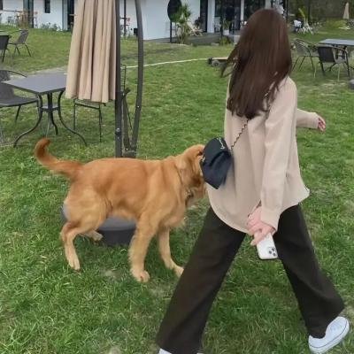 我不是凶手